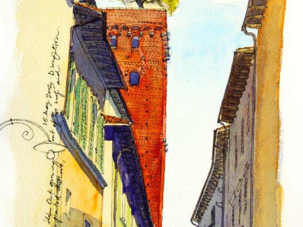 Torre Guinigi | Looking up at the tower with an oak tree growing from its top from a narrow street in Lucca